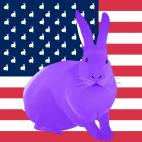 LAVANDE-FLAG FLAG ROSE rabbit flag Showroom - Inkjet on plexi, limited editions, numbered and signed. Wildlife painting Art and decoration. Click to select an image, organise your own set, order from the painter on line